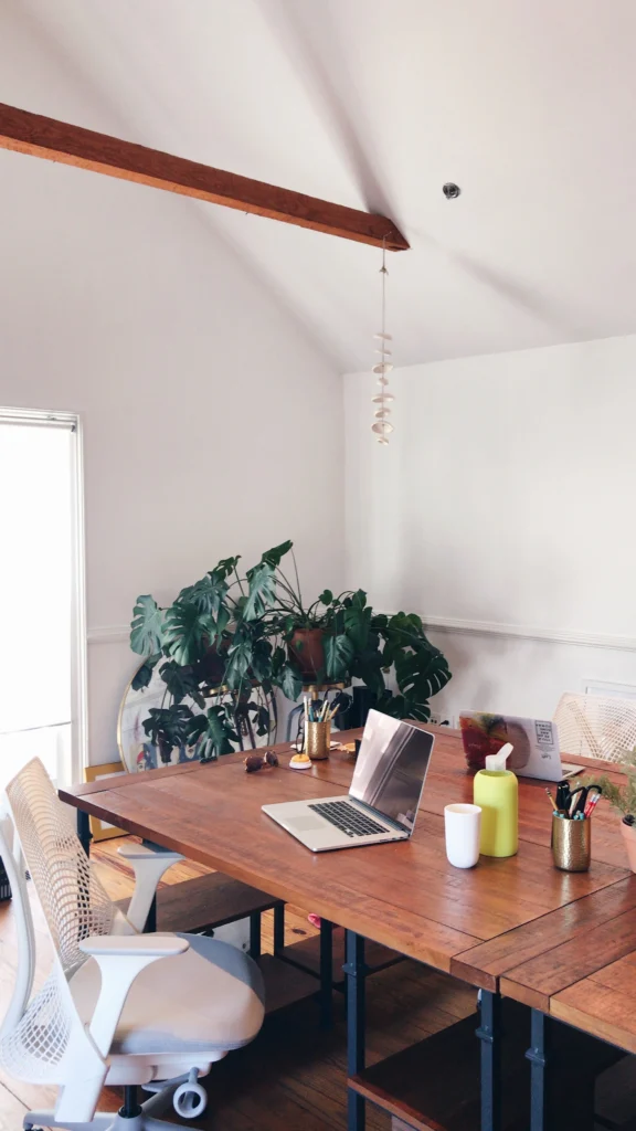 a table with a laptop and a plant on it
